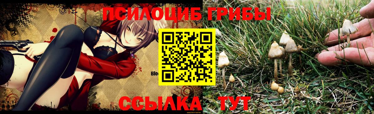 Галлюциногенные грибы MAGIC MUSHROOMS  Вход с VPN  Лянтор 